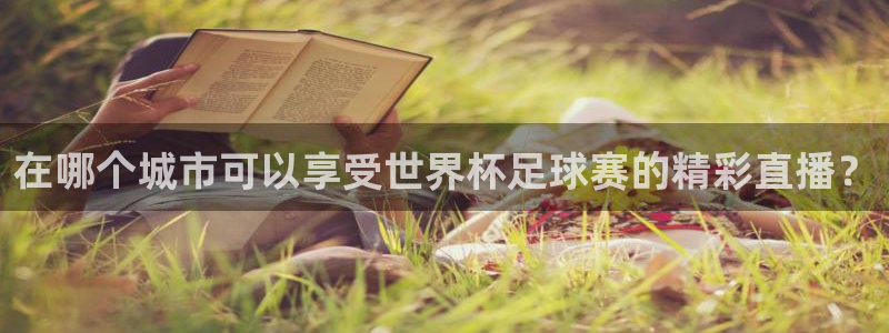 2026年世界杯对阵图:在哪个城市可以享受世界杯足球赛的精彩直播?