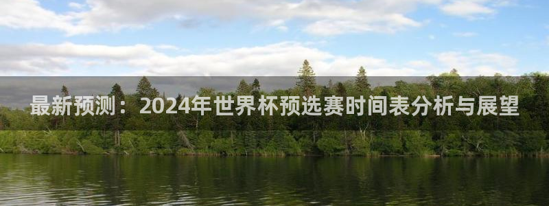 亚洲杯比赛直播:最新预测:2024年世界杯预选赛时间表分析与展望
