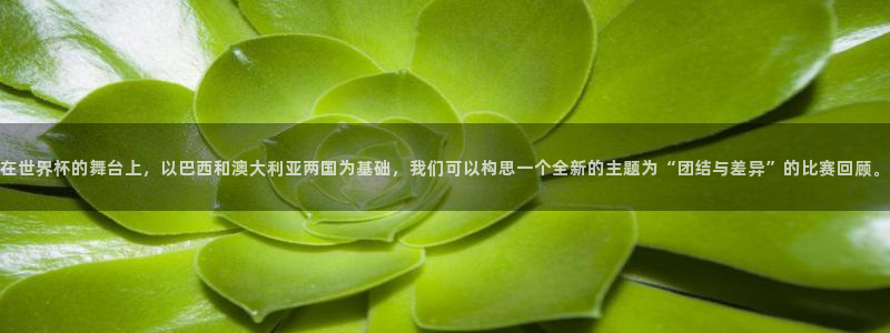 世界杯2026赛程时间表格:在世界杯的舞台上,以巴西和澳大利亚两国为基础,我们可以构思一个全新的主题为“团结与差异”的比赛回顾。