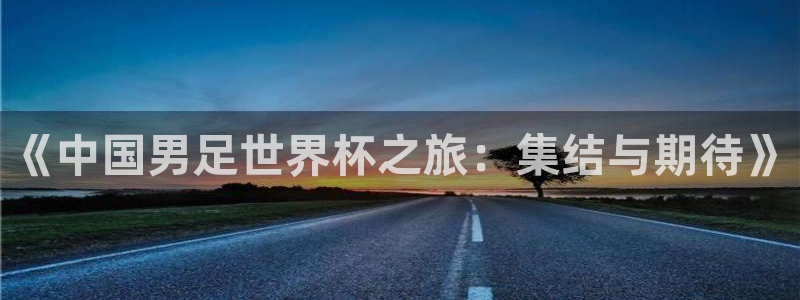 欧洲区世界杯预选赛:《中国男足世界杯之旅:集结与期待》