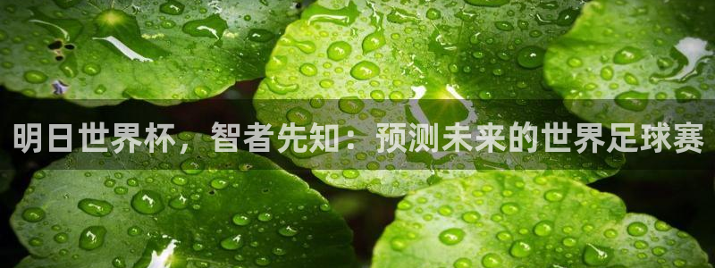 足球世界杯:明日世界杯,智者先知:预测未来的世界足球赛