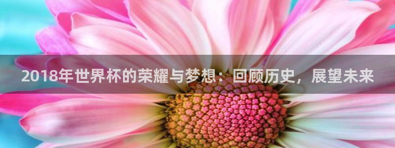 世界杯直播高清:2018年世界杯的荣耀与梦想:回顾历史,展望未来