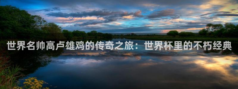世界杯2026赛制:世界名帅高卢雄鸡的传奇之旅:世界杯里的不朽经典