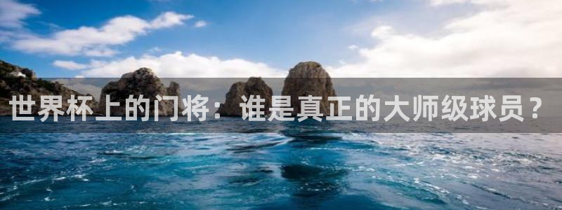 2026世界杯中国队:世界杯上的门将:谁是真正的大师级球员?