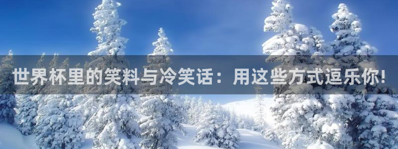 男足世界杯预选赛赛程:世界杯里的笑料与冷笑话:用这些方式逗乐你!