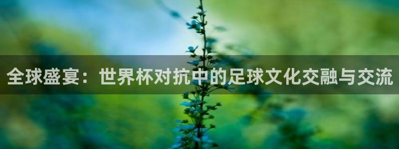 2026年世界杯直播平台:全球盛宴:世界杯对抗中的足球文化交融与交流